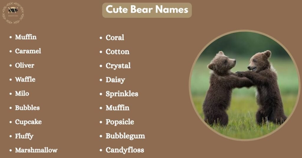 Cute Bear Names