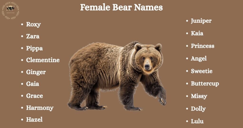 Female Bear Names