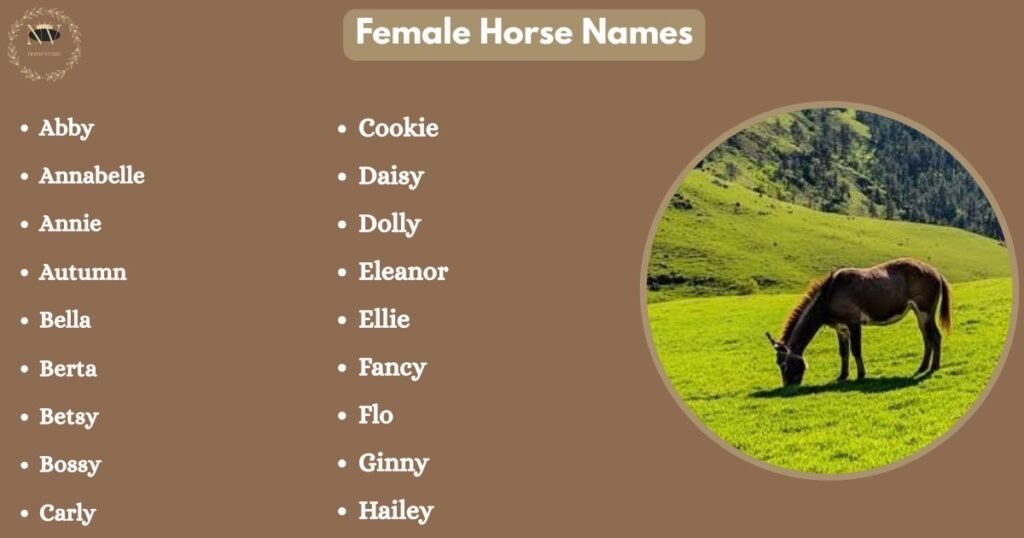 Female Horse Names