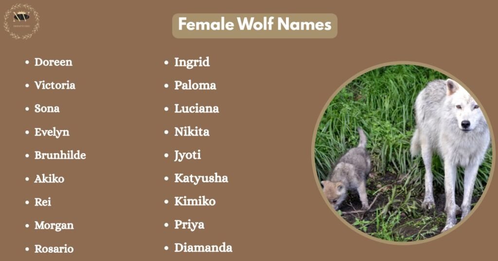 Female Wolf Names
