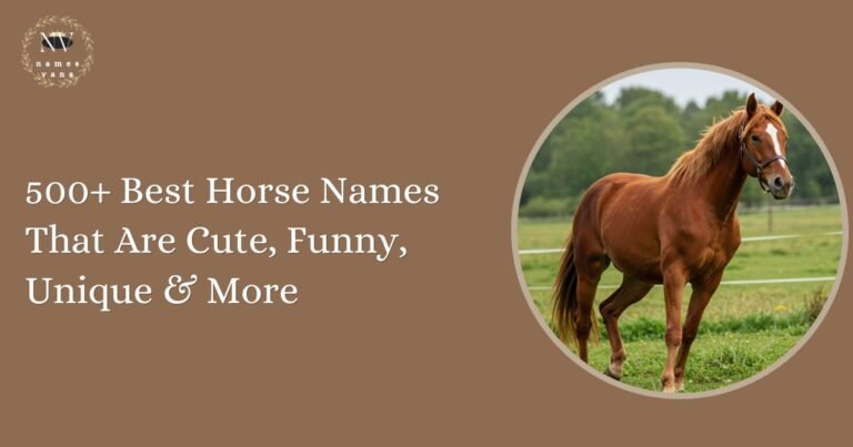 Horse Names