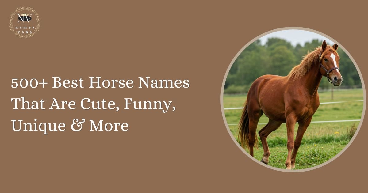 Horse Names