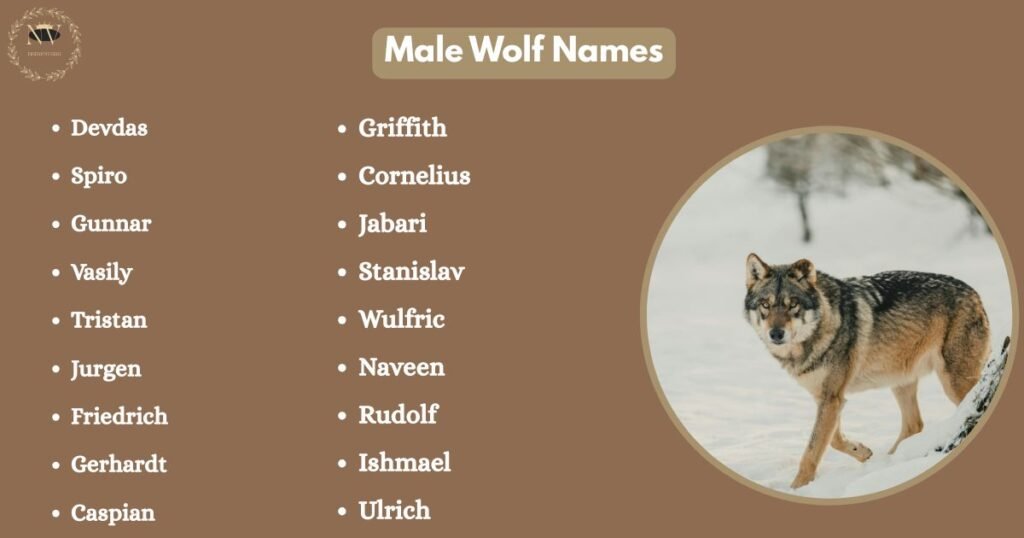 Male Wolf Names