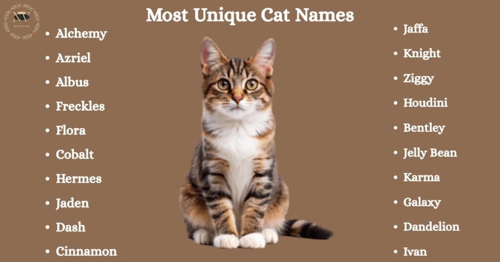 Most Unique Cat Names