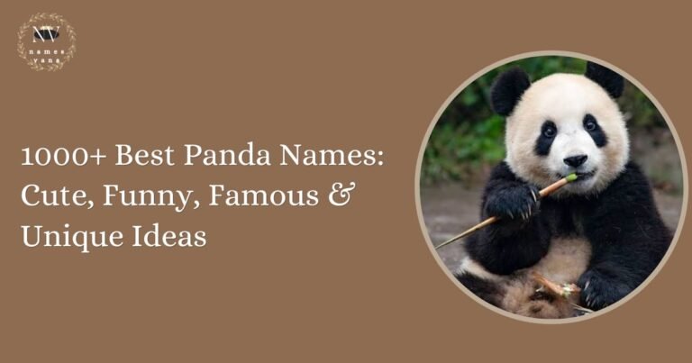 Panda Names