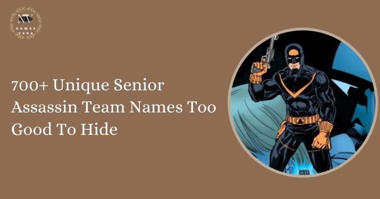 Senior Assassin Team Names