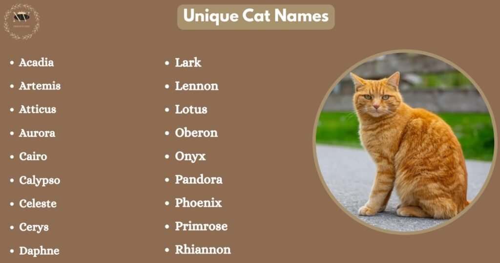 Unique Cat Names