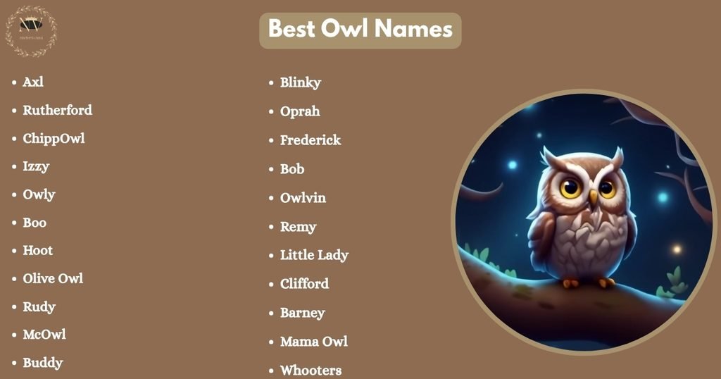 Best Owl Names