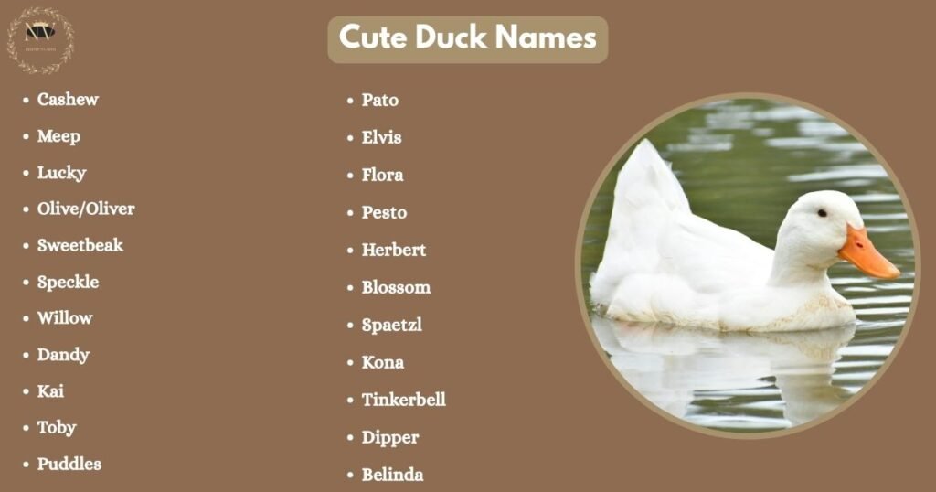 Cute Duck Names
