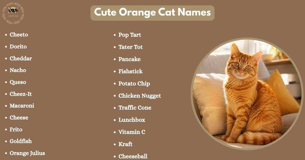 Cute Orange Cat Names