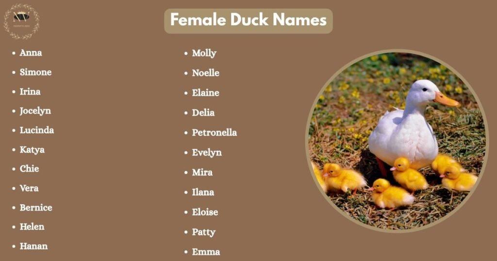 Female Duck Names