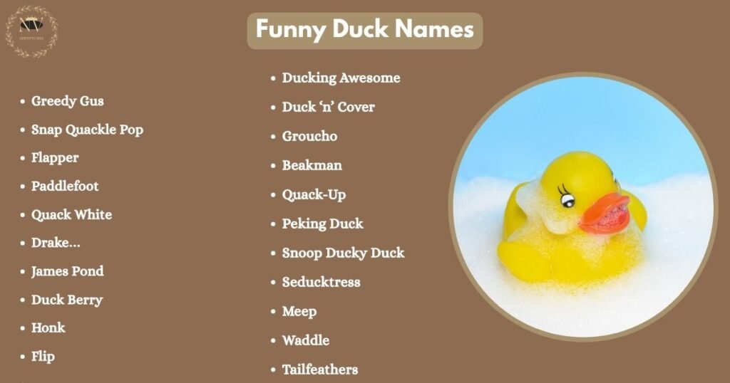 Funny Duck Names