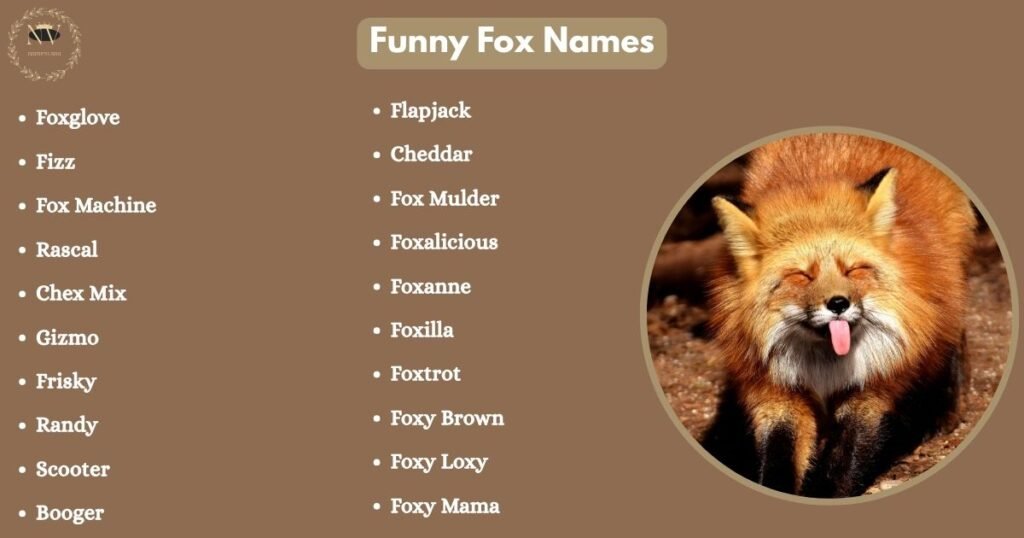 Funny Fox Names