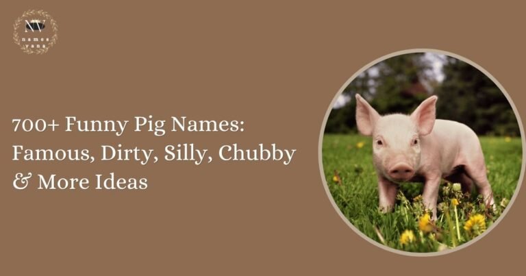 Funny Pig Names