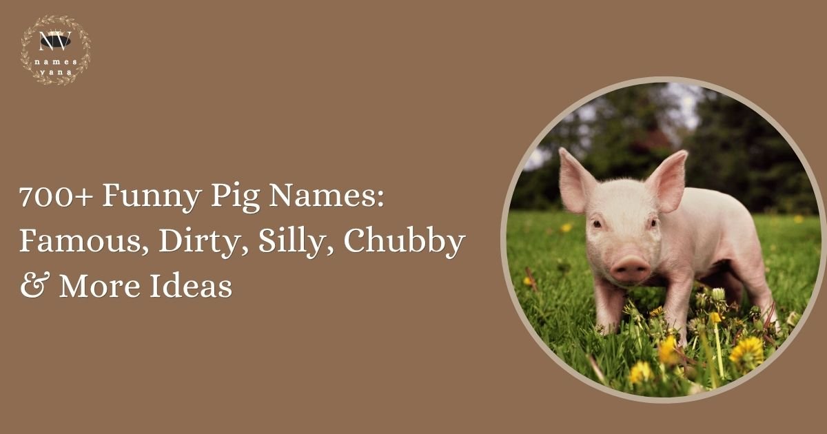 Funny Pig Names