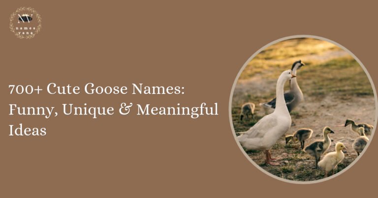 Goose Names