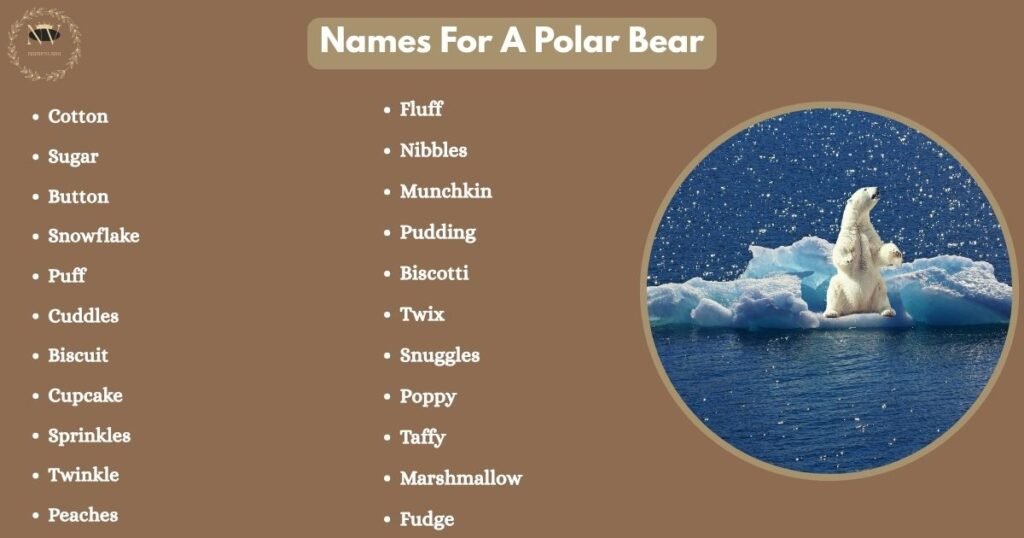 Names For A Polar Bear
