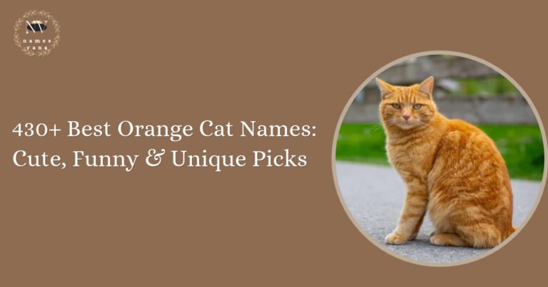 Orange Cat Names