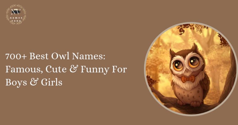 Owl Names