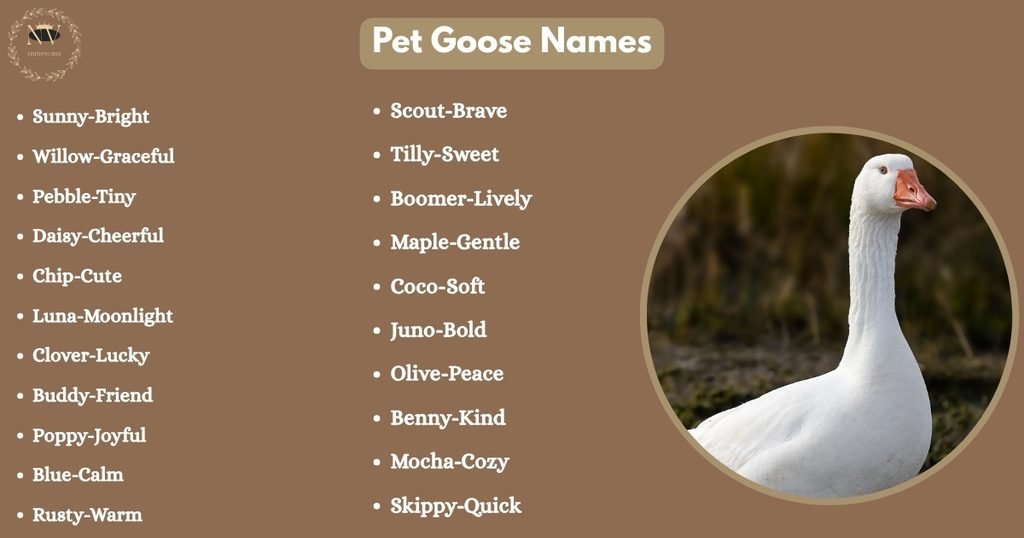 Pet Goose Names