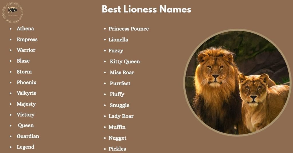 Best Lioness Names