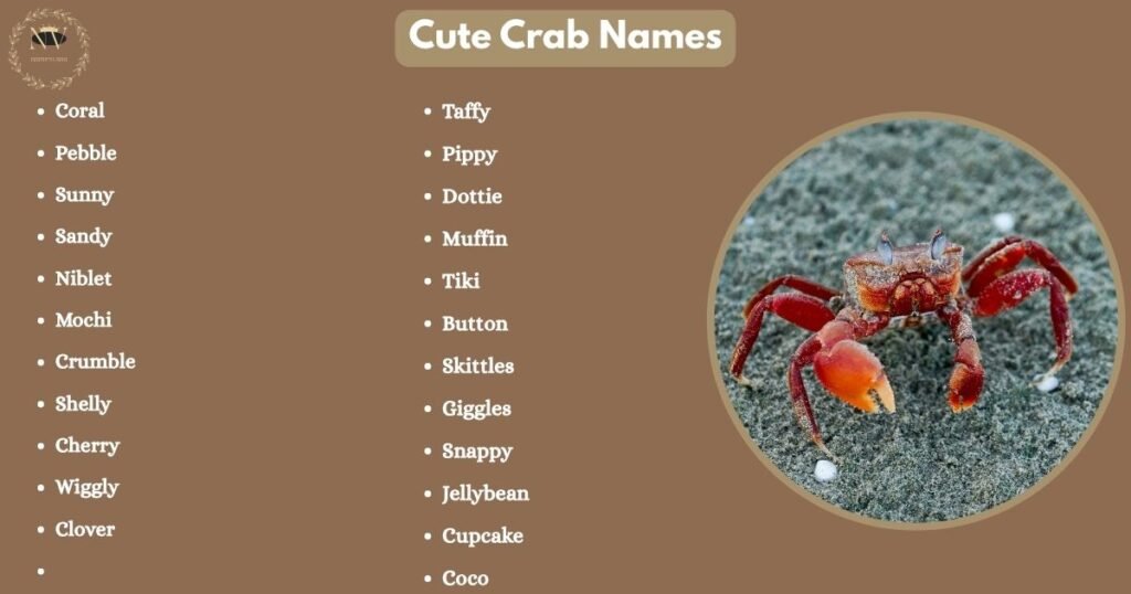 Cute Crab Names