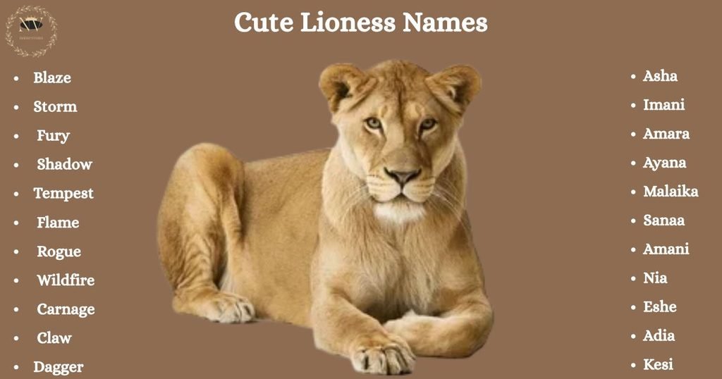 Cute Lioness Names