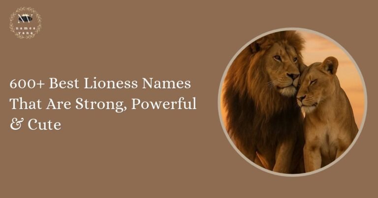 Lioness Names