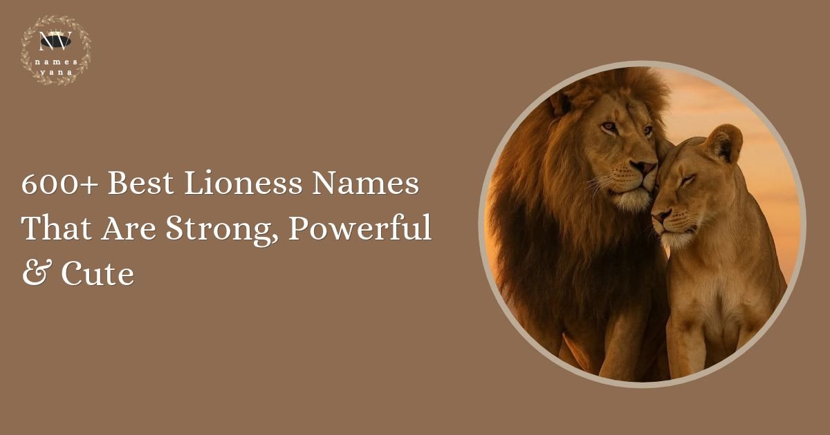 Lioness Names