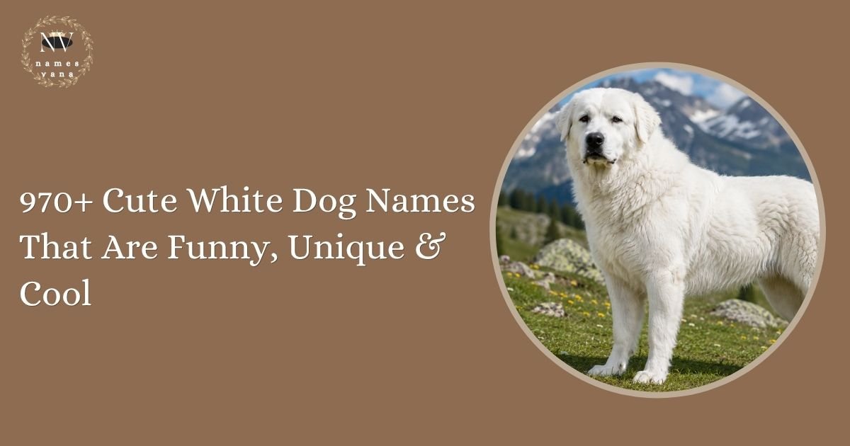 White Dog Names